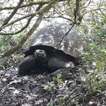 Luis Sigcha - @luis.sigcha.3766 - Instagram