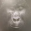 Signor_Luis - @signor_luis - TikTok