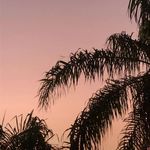 Luis Silguero 🤠 - @luissilguero76 - Instagram