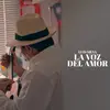 Luis Silva Cantante - @luissilva.cantante - TikTok