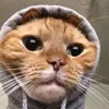 Luis_Silver - @luis_silver - TikTok