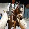 luis silvera 🤠 - @luis.silvera80 - TikTok