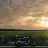 Luis Sims - @luissims435 - TikTok
