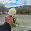 Luissimsjaj - @luissimalaj62 - TikTok