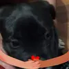 Luis Sinche - @luis.sinche79 - TikTok
