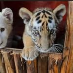 Luis Sinche - @luis.sinche.100046 - Instagram