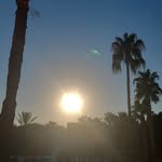 Luis Singer - @luiss_inger - Instagram
