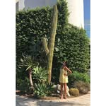 Luis Skinner - @luisskinner676 - Instagram