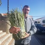 Luís Solana - @luissolana6 - Instagram