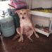 Luis Solomon - Facebook