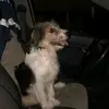 luissomarriba505 - @luissomarriba505 - TikTok