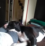 Luis Sopo - Facebook