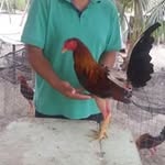 luis sossa - @luissoss - Instagram