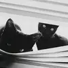 Luis_Spataro - @luis_spataro - TikTok