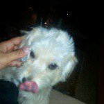 Luis Edgardo Stella - @luisstella2207 - Instagram