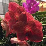 Luis Guillermo Sterling - @luis.sterling - Instagram