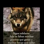 luis stone - @luisstone898 - Instagram