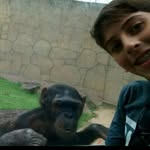 Luis Felipe Calejon Stumpf - @luisfelipecalejonstumpf - Instagram