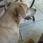 Luis Carlos Sullivan - @luis_carlos_sullivan - Instagram