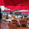 Luis Suriel - @luis.suriel8 - TikTok