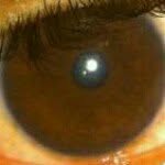 @luissuriel - Instagram