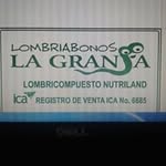 Luis Taboada Olmos - @luistaboadaolmos - Instagram