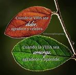 Luis Tadeo - Facebook