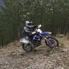 Luis Teixeira - @luisrebolarebola - TikTok