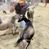 luis.tirado5.7 - @luis.tirado5.7 - TikTok