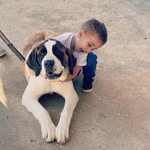 Luis Todd - @luistodd945 - Instagram