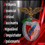 Luis Trigo - @luis.trigo.5872 - Instagram