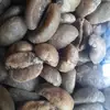 Luis Troccoli - @user9588211323979 - TikTok