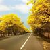 Luis Troccoli - Facebook