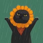 Luis Tuñoque - @luis_tunoque - Instagram