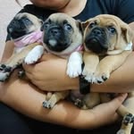 Luis Uitz Ojeda - @uitzojeda - Instagram