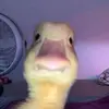 Luis Underwood - @luisunderwood713 - TikTok