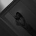Luise Unger - Facebook