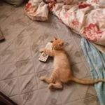Luis Urbieta - @luis.urbieta.313 - Instagram