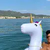la reina - @luisuruchimaflies - TikTok