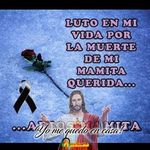 Luis Uruchima - @luruchima1 - Instagram