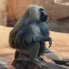 Luis Valdivia - @_jeez_loo_eez_ - TikTok