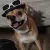 Luis Valentin - @luisvalentin787 - TikTok