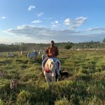 Luis vasconcelos - @luis_vasconceloss - Instagram