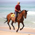 Luis Vaz de Almada - @luisvazdealmada - Instagram