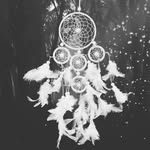 Luis Vazques - @luis.vazques.75873 - Instagram