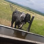 Luis Vazques - @luisantonio.vasquez - Instagram