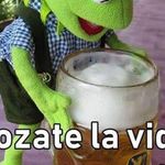luis vejar - @luisveja - Instagram