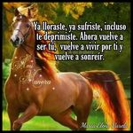 Luis Vejar - @luis.vejar.9461 - Instagram