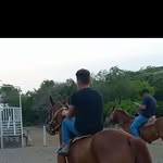 Luis Vidaña Carmona - @luisvidanacarmona - Instagram