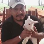 Luis Vidaña Hernández - @luisvidanahernandez - Instagram
